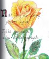 Obraz (62)